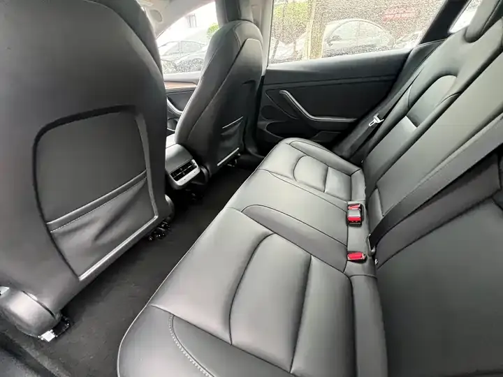 2022 Model 3 Rear-Wheel Drive Version 6