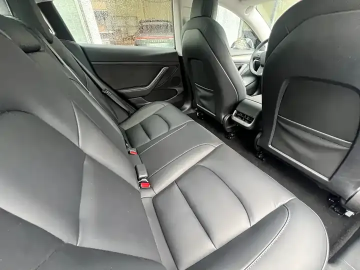 2022 Model 3 Rear-Wheel Drive Version 7