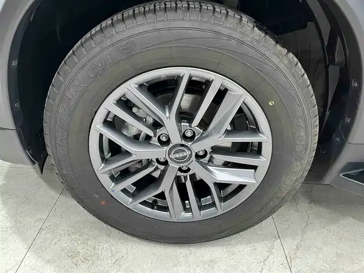 Qijun 2025 Honor 2.0L Two-Drive Leading Edition 10