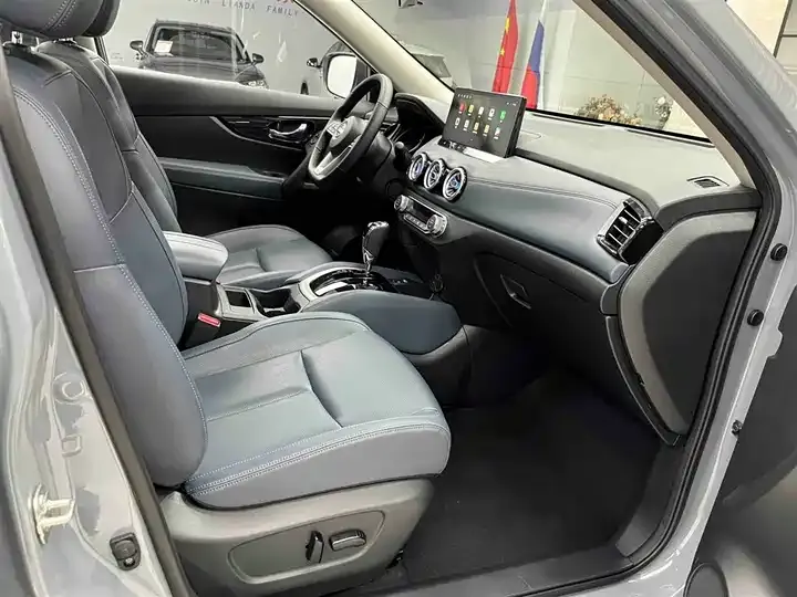 Qijun 2025 Honor 2.0L Two-Drive Leading Edition 6