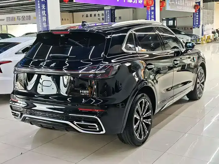 HongQi HS5 2023 2.0T 4WD Flag Pro Edition 7