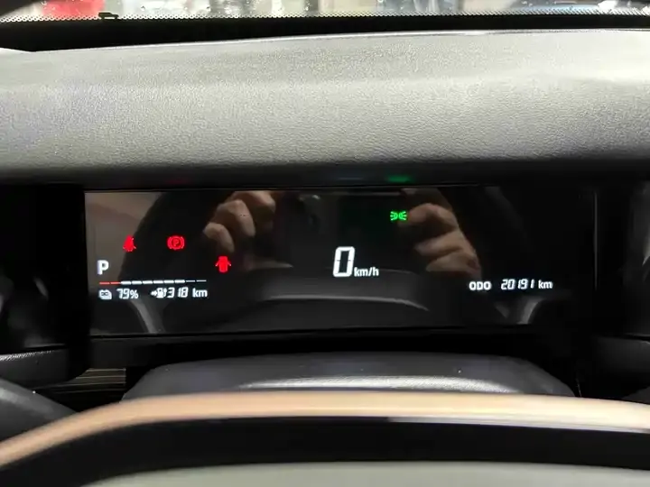 ICAR 03 2024 401km Two-Drive Standard Advanced Edition 12