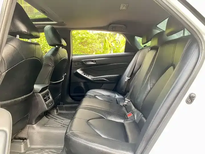Asian dragon 2019 2.0L enterprising version VI 6