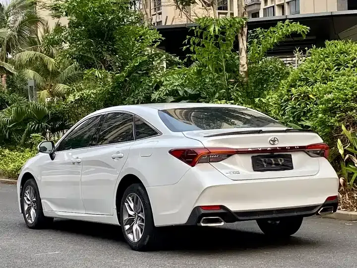 Asian dragon 2019 2.0L enterprising version VI 7