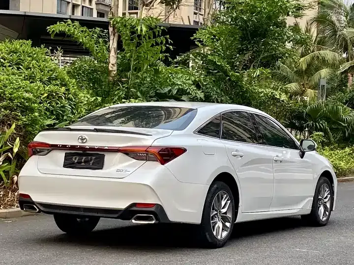 Asian dragon 2019 2.0L enterprising version VI 9