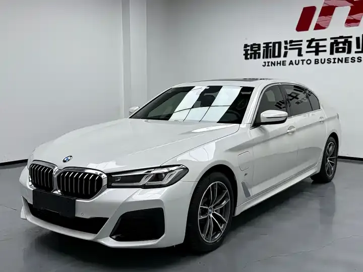Open image lightbox: BMW 5 New Energy 2021 535Le Deluxe Suit
