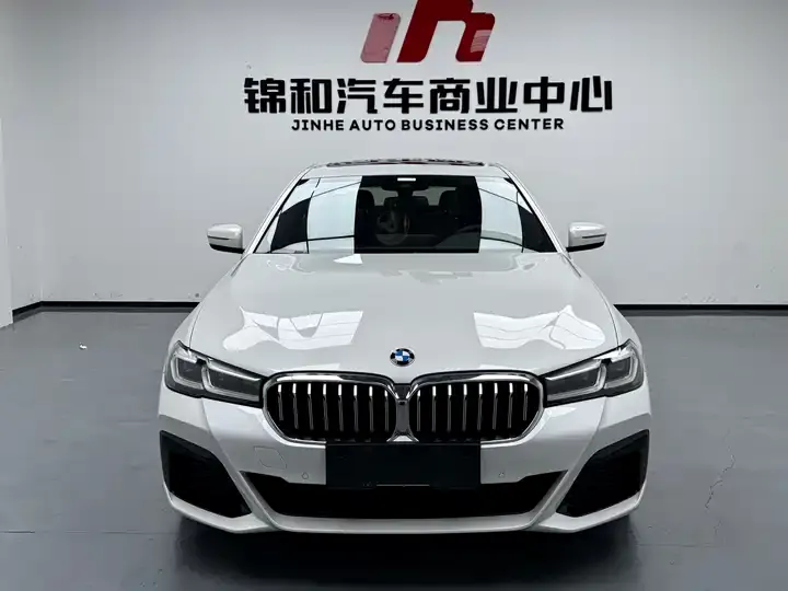 BMW 5 New Energy 2021 535Le Deluxe Suit 2