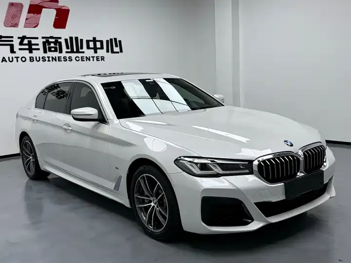 BMW 5 New Energy 2021 535Le Deluxe Suit 3