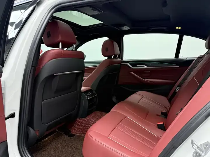 BMW 5 New Energy 2021 535Le Deluxe Suit 5