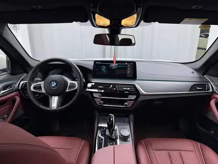 BMW 5 New Energy 2021 535Le Deluxe Suit 6