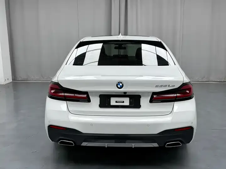 BMW 5 New Energy 2021 535Le Deluxe Suit 8
