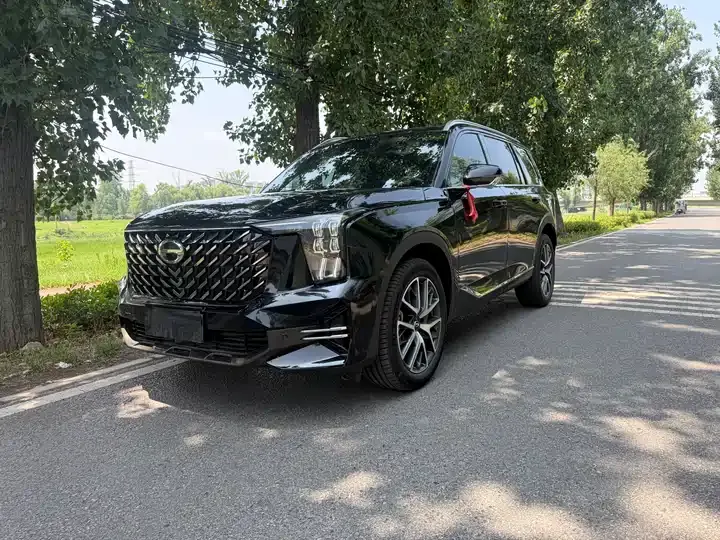 Chuanqi GS8 2025 Pilot Series 2.0TGDI 4-wheel Drive Deluxe Edition 5 Seat - View 1