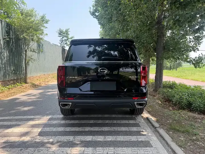 Chuanqi GS8 2025 Pilot Series 2.0TGDI 4-wheel Drive Deluxe Edition 5 Seat 10