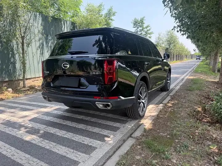 Chuanqi GS8 2025 Pilot Series 2.0TGDI 4-wheel Drive Deluxe Edition 5 Seat 11
