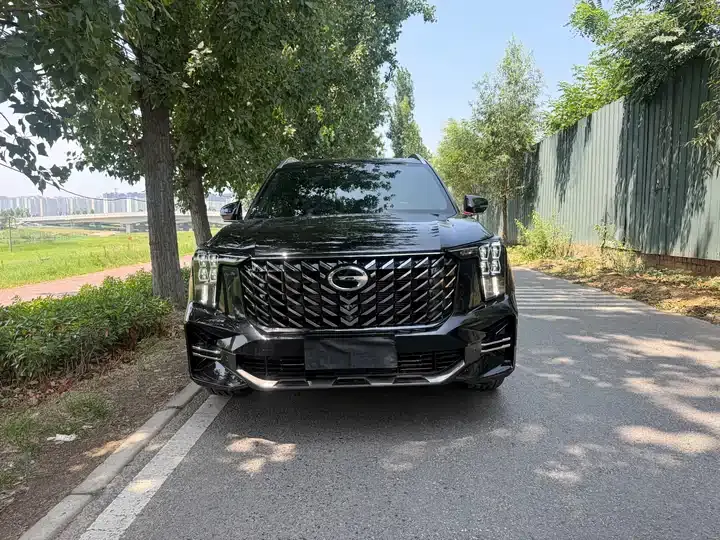 Chuanqi GS8 2025 Pilot Series 2.0TGDI 4-wheel Drive Deluxe Edition 5 Seat 2