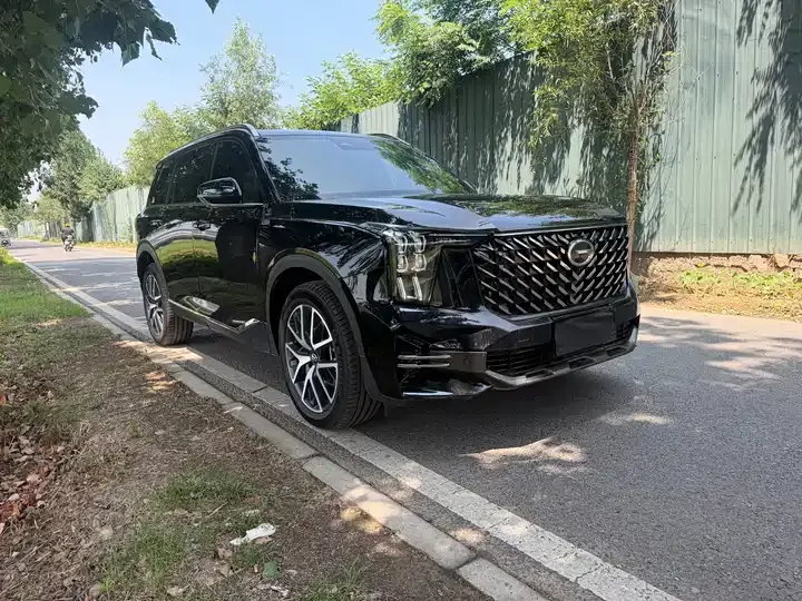 Chuanqi GS8 2025 Pilot Series 2.0TGDI 4-wheel Drive Deluxe Edition 5 Seat 3