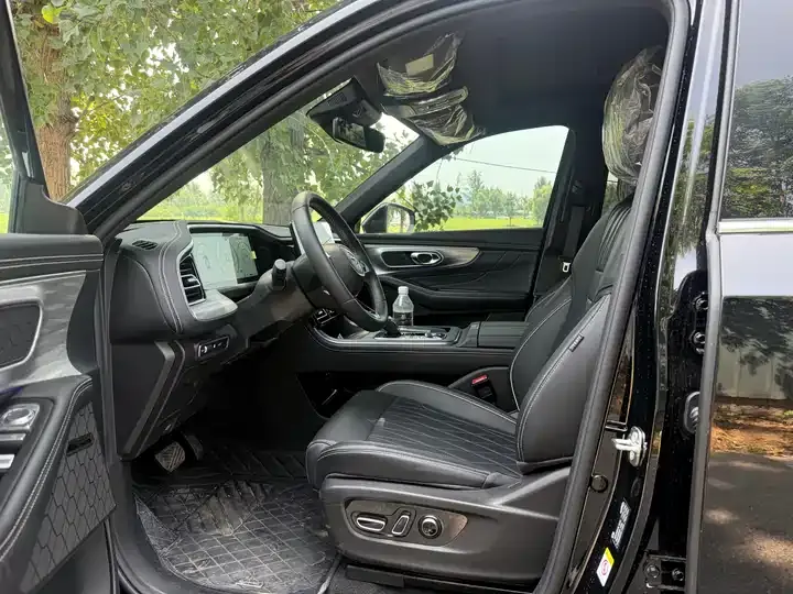 Chuanqi GS8 2025 Pilot Series 2.0TGDI 4-wheel Drive Deluxe Edition 5 Seat 4