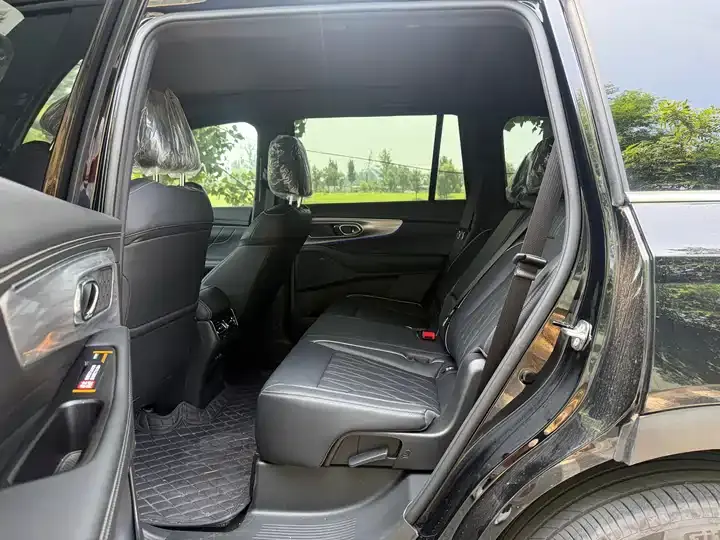 Chuanqi GS8 2025 Pilot Series 2.0TGDI 4-wheel Drive Deluxe Edition 5 Seat 6