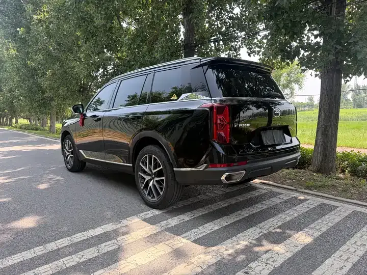 Chuanqi GS8 2025 Pilot Series 2.0TGDI 4-wheel Drive Deluxe Edition 5 Seat 9