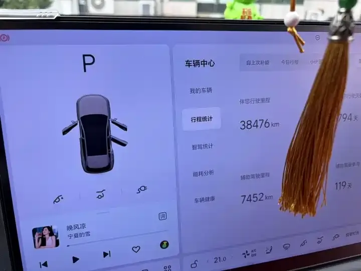 Li L6 2024 Pro 5