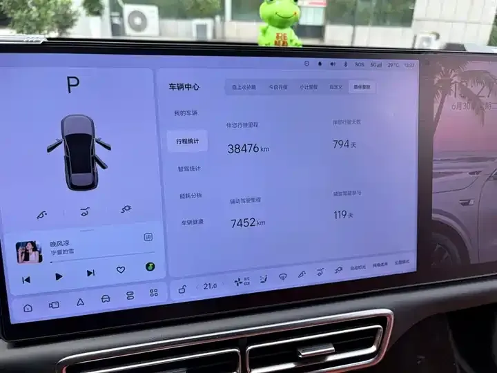 Li L6 2024 Pro 9