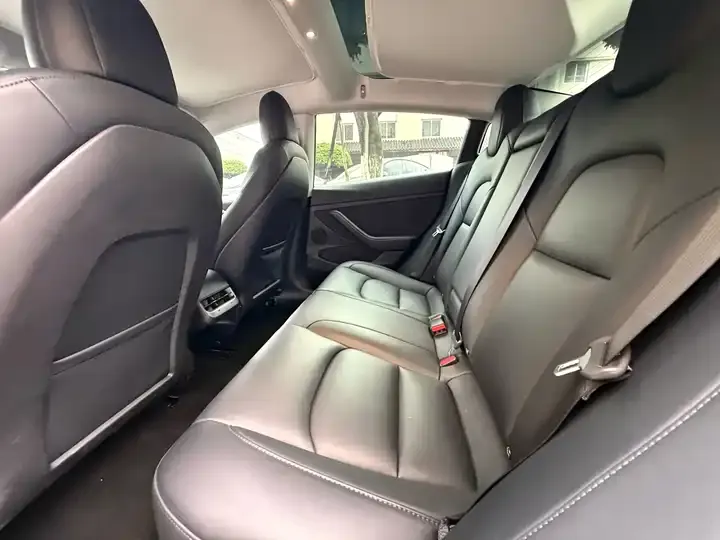 2022 Model 3 Rear-Wheel Drive Version 10