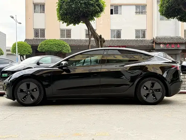 2022 Model 3 Rear-Wheel Drive Version 4