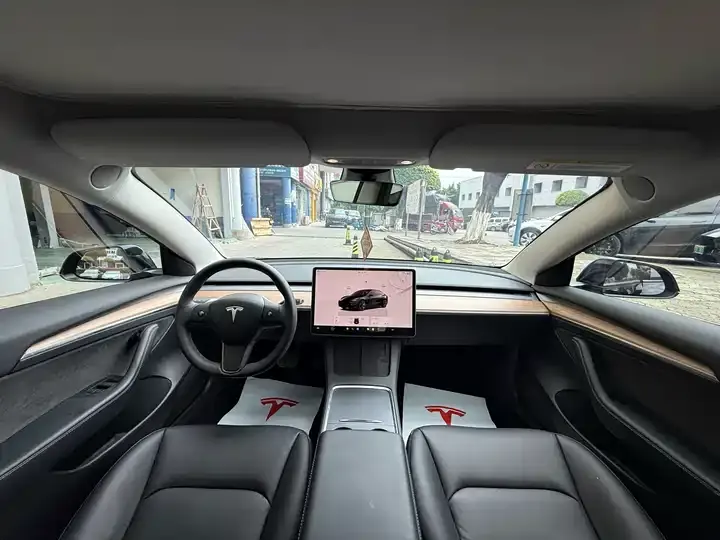 2022 Model 3 Rear-Wheel Drive Version 8