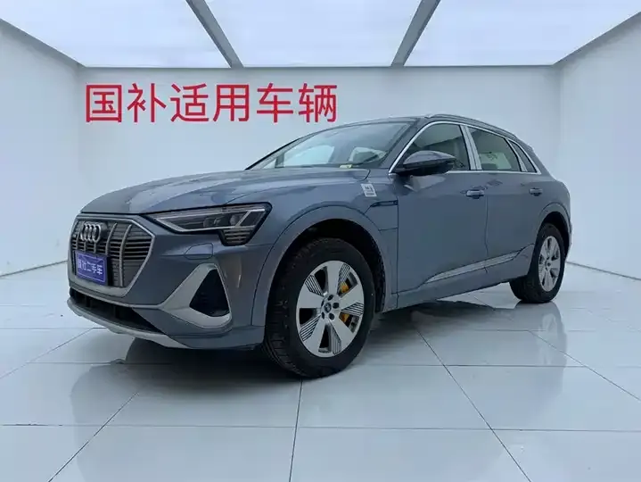 Audi e-tron 2021 50 quattro Luxury Model - View 1