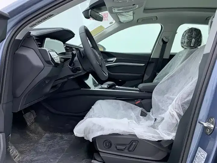 Audi e-tron 2021 50 quattro Luxury Model 12