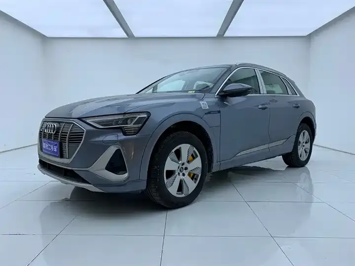 Audi e-tron 2021 50 quattro Luxury Model 2