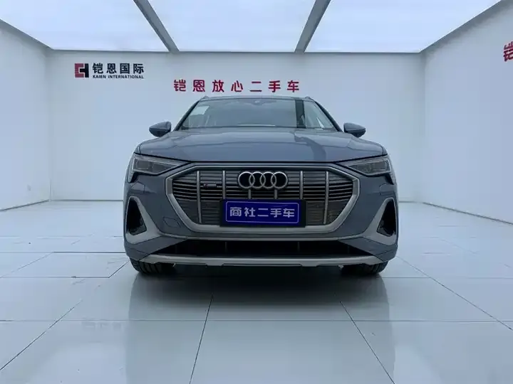 Audi e-tron 2021 50 quattro Luxury Model 3