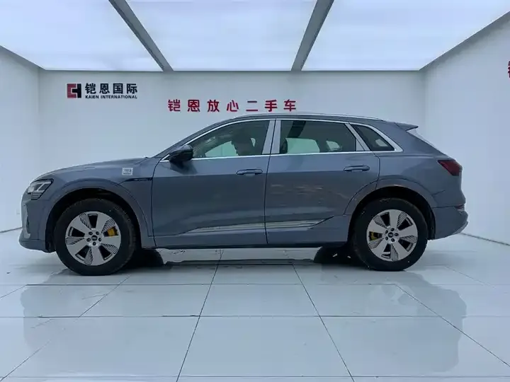 Audi e-tron 2021 50 quattro Luxury Model 4