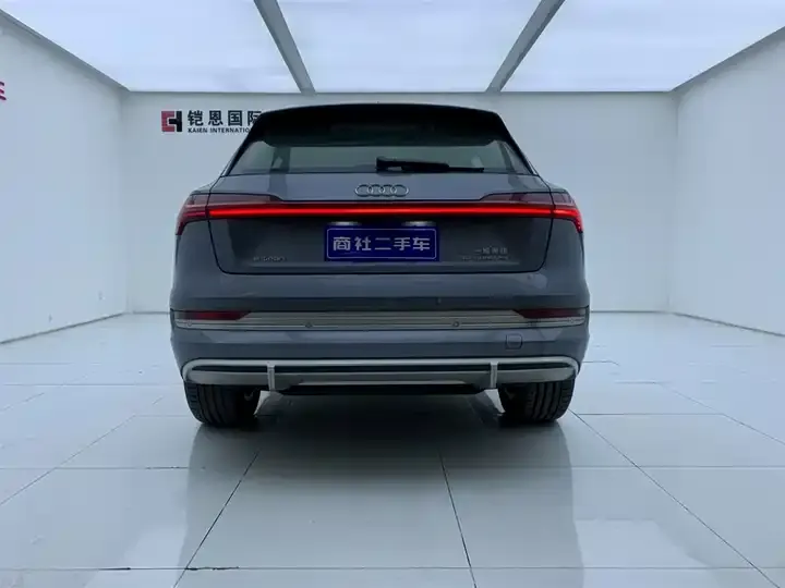 Audi e-tron 2021 50 quattro Luxury Model 5