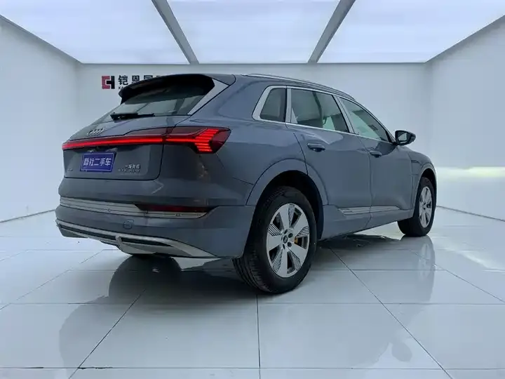 Audi e-tron 2021 50 quattro Luxury Model 6
