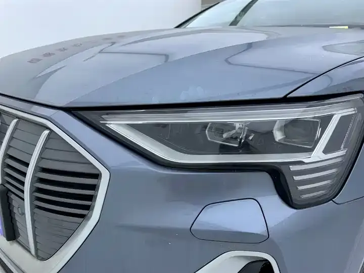 Audi e-tron 2021 50 quattro Luxury Model 8