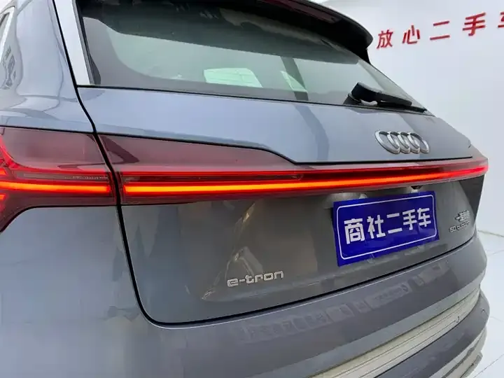 Audi e-tron 2021 50 quattro Luxury Model 9