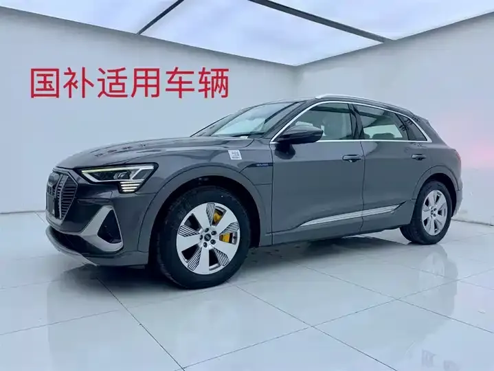 Open image lightbox: Audi e-tron 2021 50 quattro Luxury Model