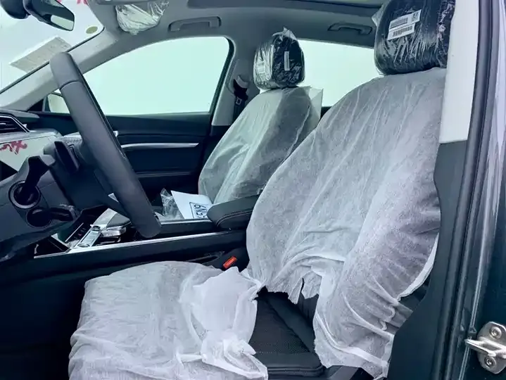 Audi e-tron 2021 50 quattro Luxury Model 12