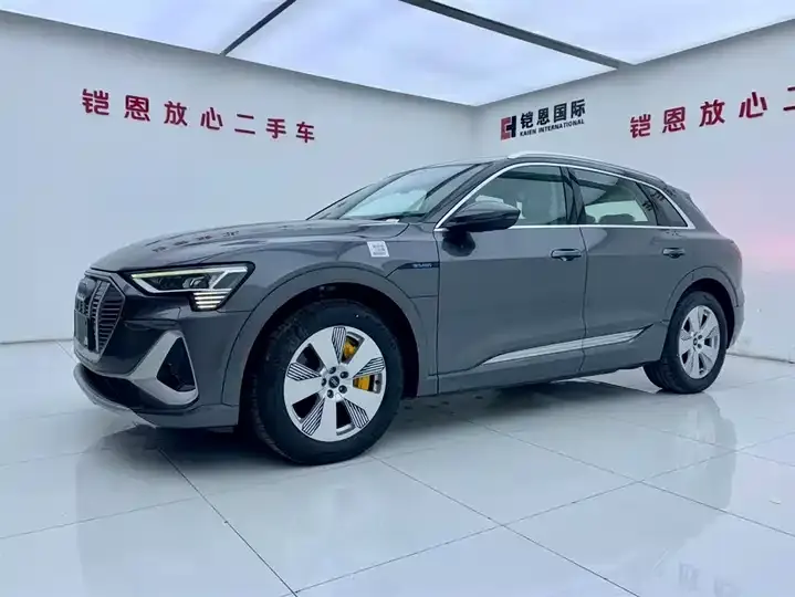 Audi e-tron 2021 50 quattro Luxury Model 2