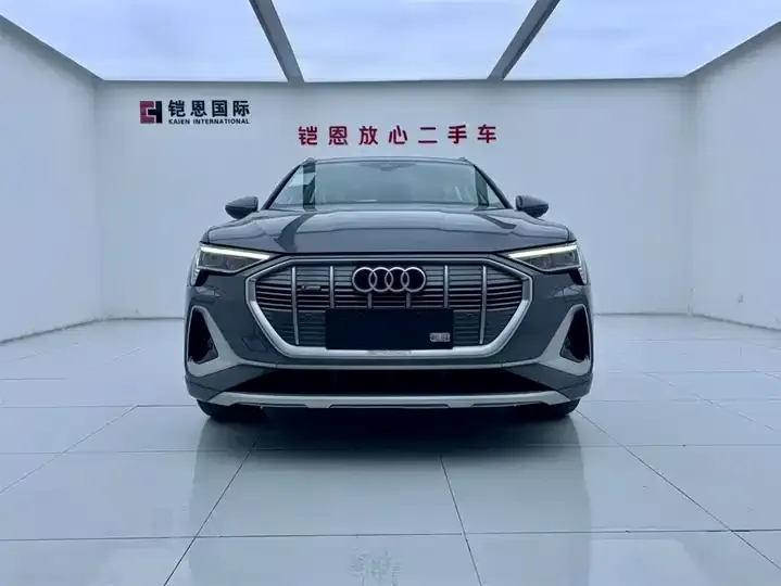 Audi e-tron 2021 50 quattro Luxury Model 3