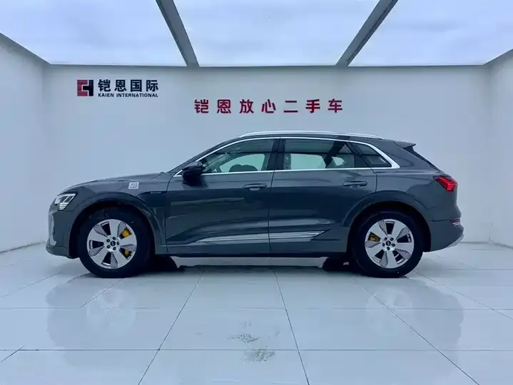 Audi e-tron 2021 50 quattro Luxury Model 4