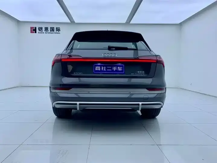 Audi e-tron 2021 50 quattro Luxury Model 5