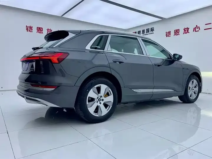 Audi e-tron 2021 50 quattro Luxury Model 6