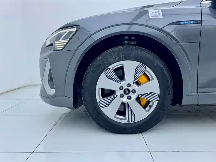 Audi e-tron 2021 50 quattro Luxury Model 7