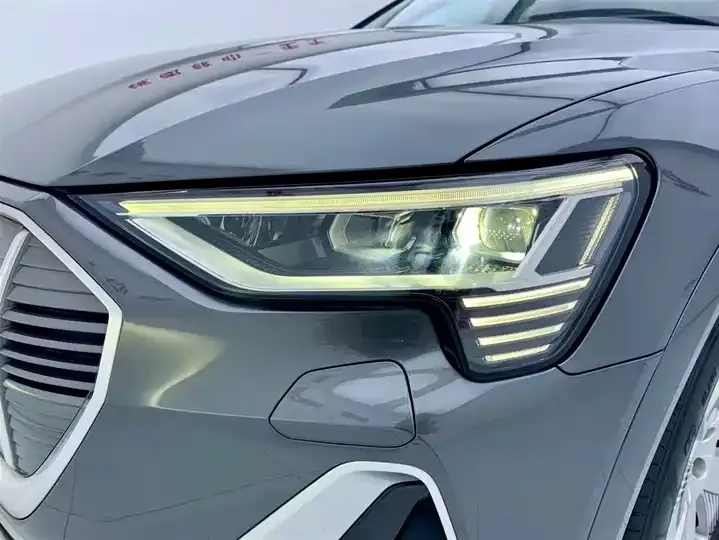 Audi e-tron 2021 50 quattro Luxury Model 8