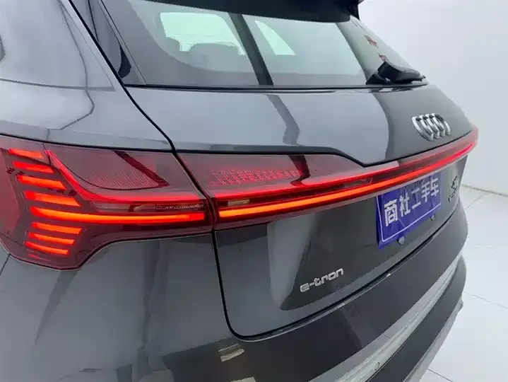 Audi e-tron 2021 50 quattro Luxury Model 9