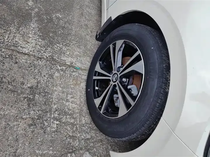 Xuanyi 2021 1.6L XL CVT Pleasant Edition 6