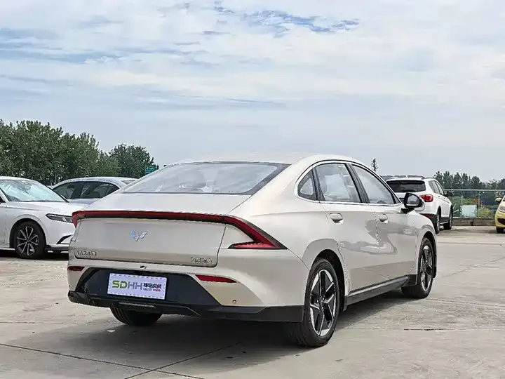 WuLing Starlight 2024 Co-creation 510 Advanced 5