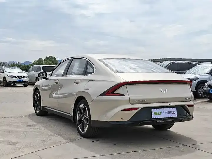 WuLing Starlight 2024 Co-creation 510 Advanced 7